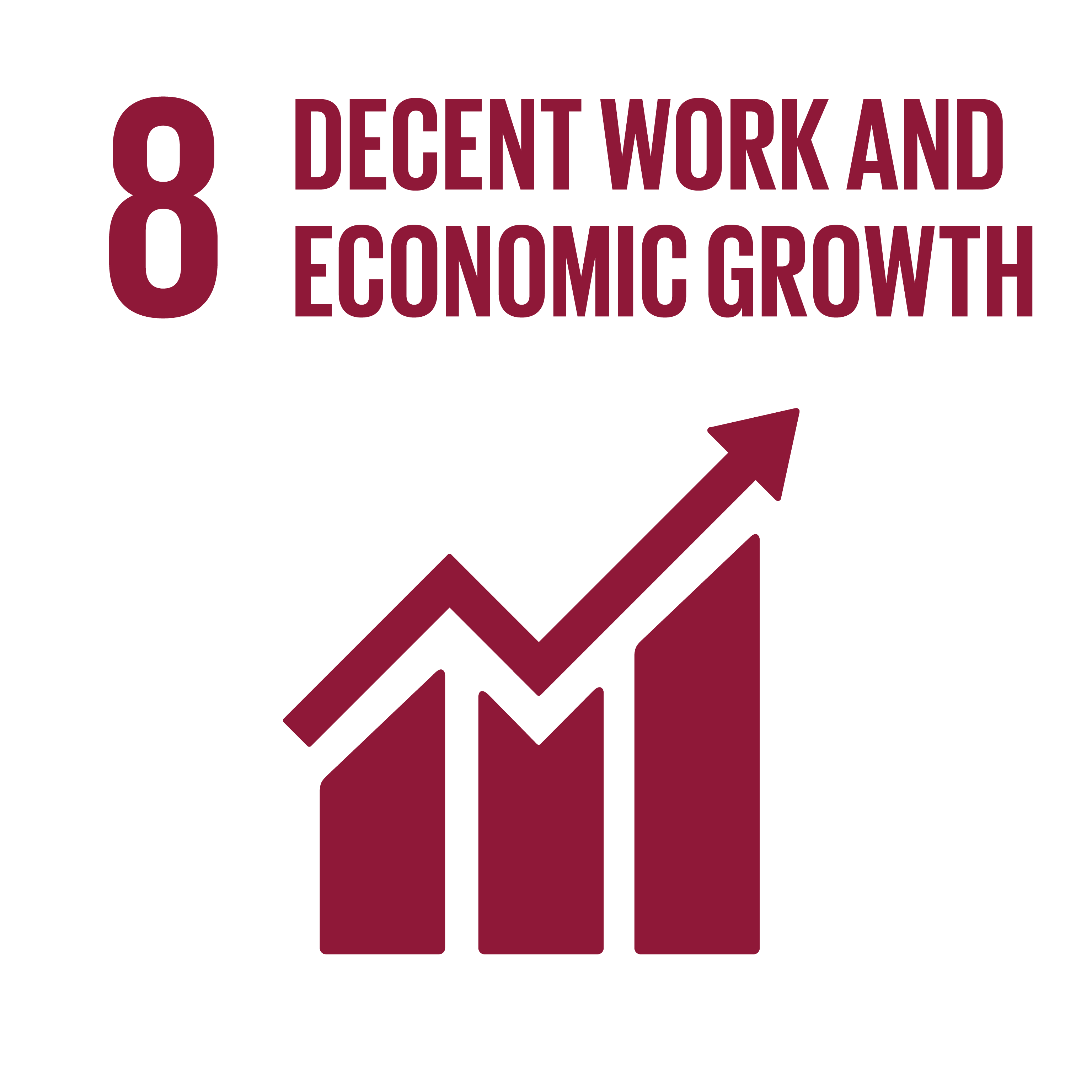 Decent Work Economic Growth