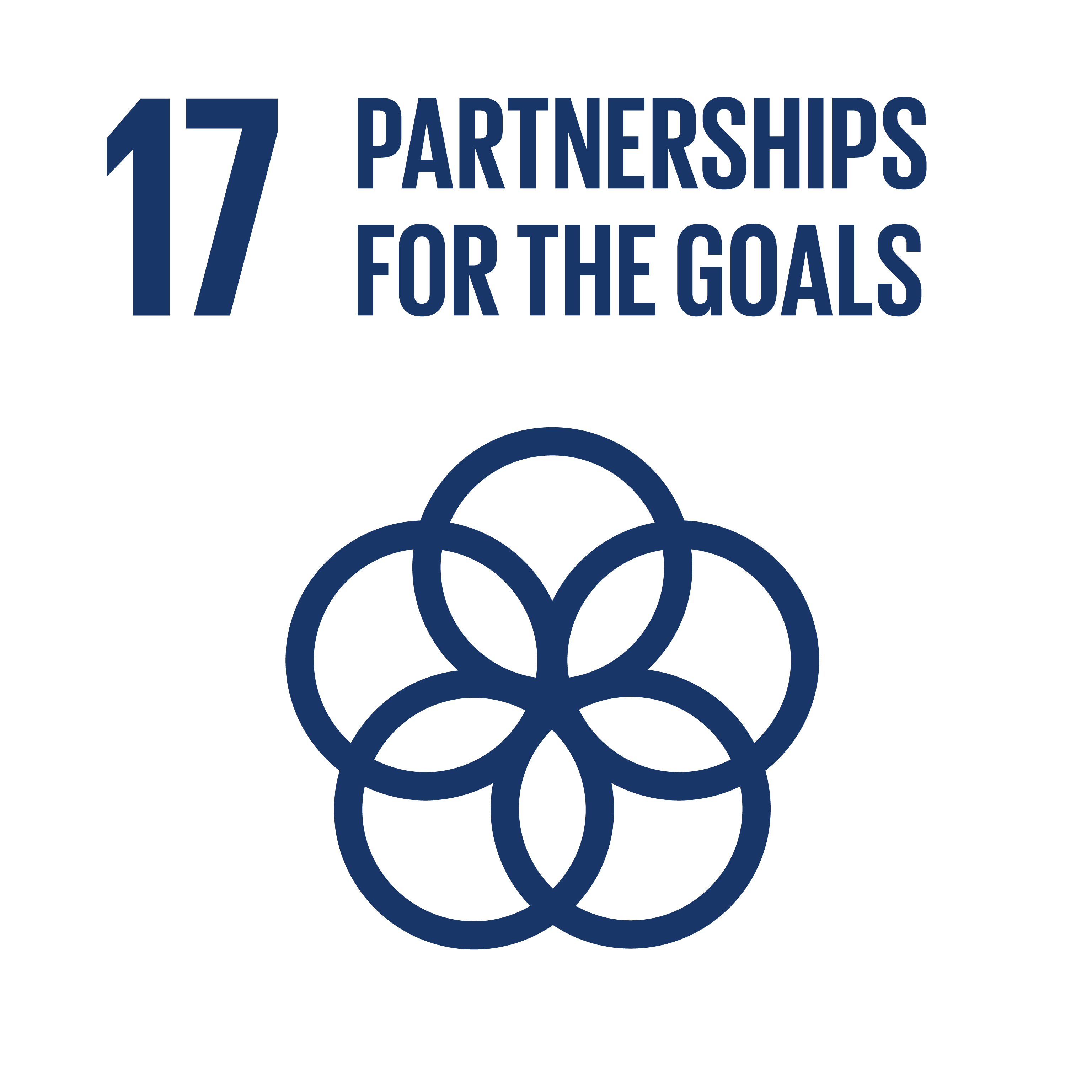Partnerships for the Goals